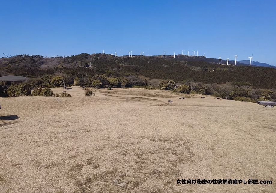 aoyama sanpo 003 - にゃんたまたちにカマエ攻撃を食らったので青山高原で放牧(ΦωΦ)