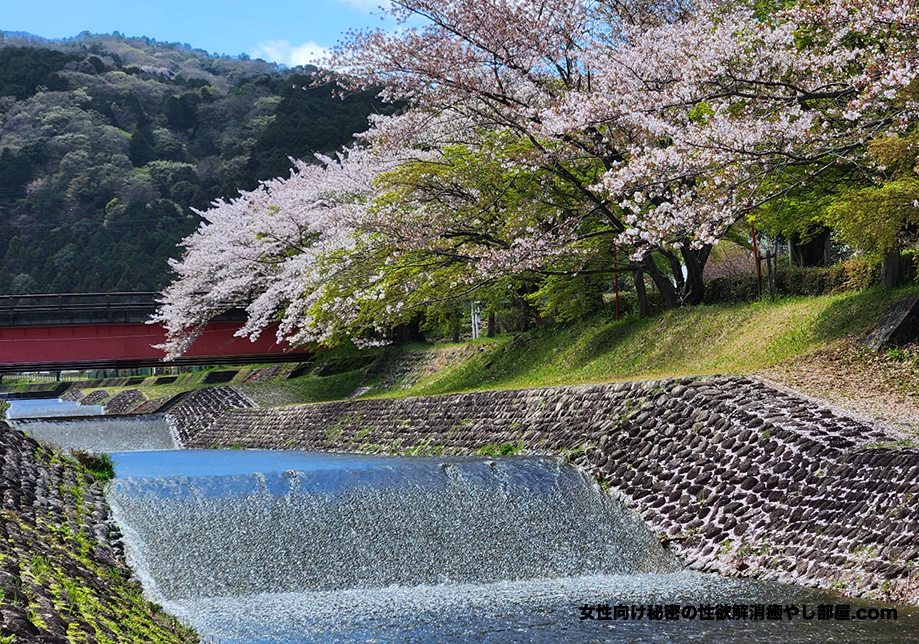 baibu 003 - 岐阜県のお花見有名スポットで花見バーベキュー参加