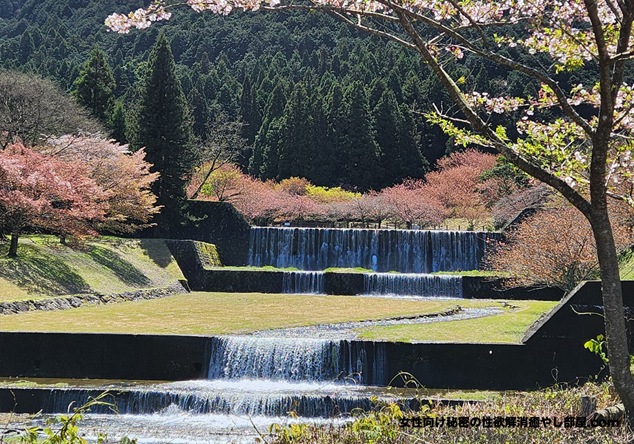 baibu 005 - 岐阜県のお花見有名スポットで花見バーベキュー参加