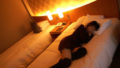 dousi camp 06 120x68 - ホテルで深夜から朝まで6時間乳首舐めいじめ対応日記 | 千葉県千葉市-東京八王子市