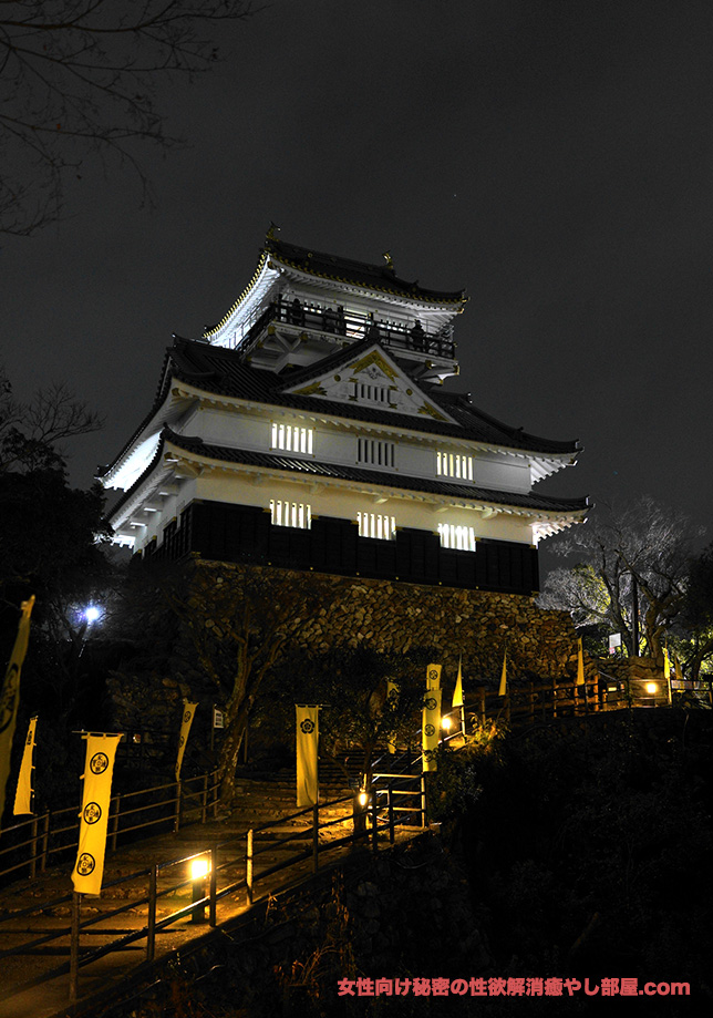kinazan 004 - 一人でまったり夜の金華山（岐阜城）に散歩