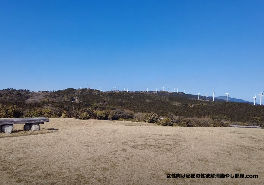 nyantama nuri 004 - 奈良県出張のあとの青山高原散歩