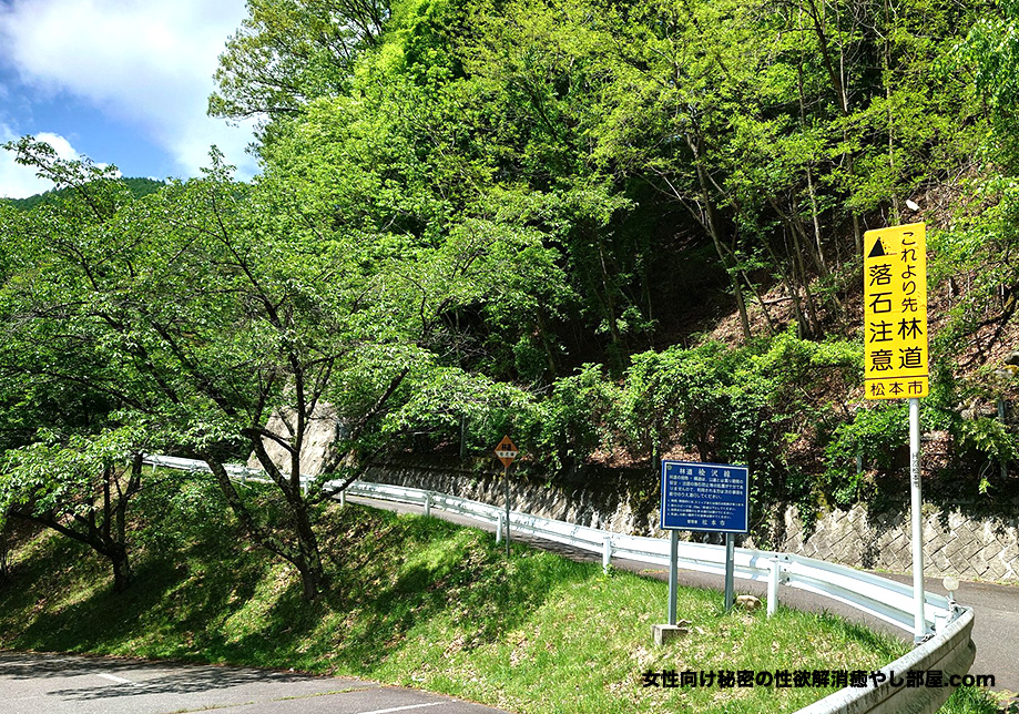 rinndoutansaku 001 - 長野県松本市の林道探索キャンプからの下呂温泉