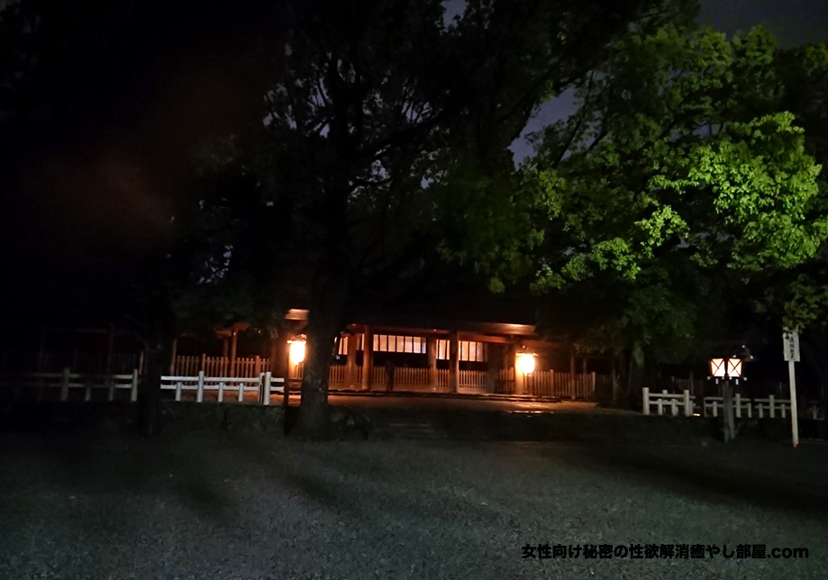 tahara 003 - 深夜の田原 蔵王山展望台と誰もいない熱田神宮散歩