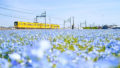 tokyo aini 003 120x68 - 岐阜県のお花見有名スポットで花見バーベキュー参加