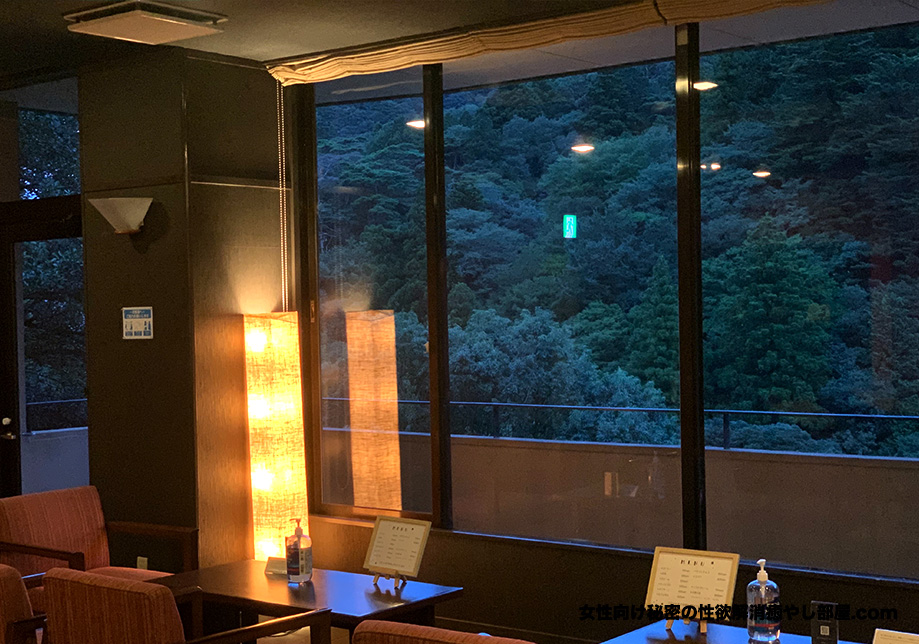 yunoyama onsen 004 - 東京から三重まで来られた方と湯の山温泉 鹿の湯で一泊宿泊